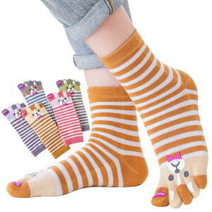 yz[MgDa] 5{w\bNX fB[X Eɂ 5{wC ʋChL t[TCY