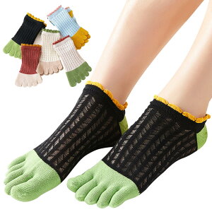 yz[MgDa] 5{w\bNX fB[X bV Eɂ 5{wC ʋChL t[TCY Ԃ