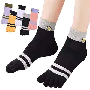 yz[MgDa] 5{w\bNX fB[X Eɂ 5{wC ʋChL t[TCY ~hiI Ђ܂/5F5Zbgj