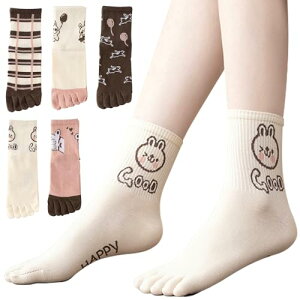 yz[MgDa] 5{w\bNX fB[X Eɂ 5{wC ʋChL t[TCYiC \/5F5Zbgj