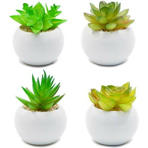 yzTOSSOW lHA ~j lHϗtA ͂Ȃ CeA 4_Zbg