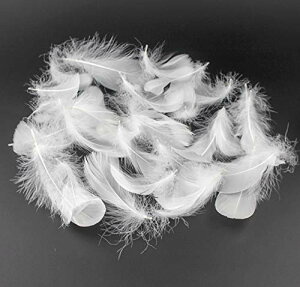 yzKingsie VR H 100Zbg tFU[V[ HV[ |f  EGfBO o