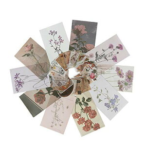 yzAlideco V[ t[NV[ | Be[WCXebJ[ i | XPW[ 蒠 Ao fR 莆 J_[ / 110Zbg