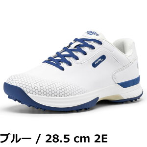 �y���������z[FitVille] ���L �S���t�V���[�Y �����Y 2E 4E �S���t�p �X�j�[�J�[ �X�p�C�N �y��