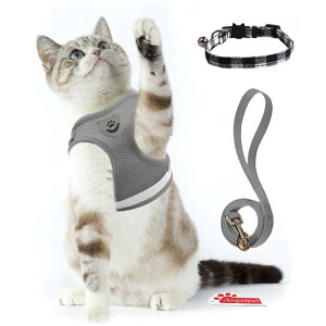 yzL Lp n[lX   Lp ^ ETM \tg [ht Ȃ 锽 bV ʋC y TCY߉\ }WbNe[v ˃XgCv