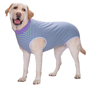 yzKUVEELA PET p㕞  p㕞 pEFA pJo[ ی앞 앞 D  ی 畆a ^ ^