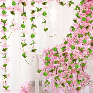 yzDIFEIUKI  ̉ Ԃ̓ 5{ 135/{ ͂Ȃ VNt[ o^Cf[ lH ԓ ݂邷 lH tFCNt[ ݂艺 K[h 