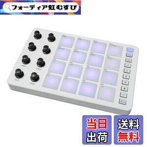 �y���������zBtuty MIDI�R���g���[���[ �X�g���C�N�p�b�h RGB�o�b�N���C�g MIDI�L�[�{�[�h BT�ڑ� �჌�C�e���V�[ 3.5mm�o�̓C���^�[�t�F�[�X 16�̃X�g���C�N�p�b�h 8�̊��蓖�ĉ\�ȃm�u �m