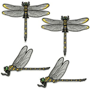 yzLe pumo Ij} by AC  A  g{hJ hJby ACby by ̑