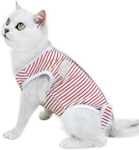 yzLeTradeJP L  p㕞 pJo[ ی DpPA pEFA 앞 ʋC sNߕ i[VOEK[g 畆ی ŋۑnی r߂ h~p 