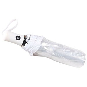 yzLEZOOY S܂肽ݓJP y gxP O܂NAJP nht NA܂ݎP 8{ J܂ Jp [ܕt