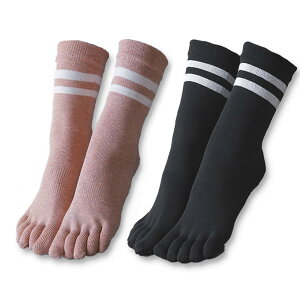 yz[Yomoment] K\bNX 5{wC ~ seBX  ۉ [΍ ΍ ~