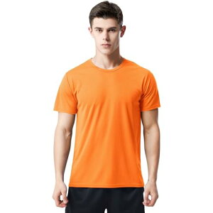 yz[Rovidorx] tVc Y   hCtVc X|[ctVc 傫TCY eB[Vc jOEFA g[jOEFA K n ⊴ z