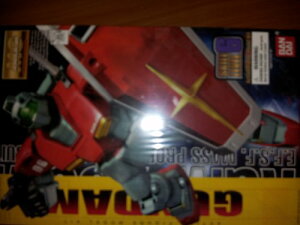 yzMG 1/100 RGM-79 W (@mK_)