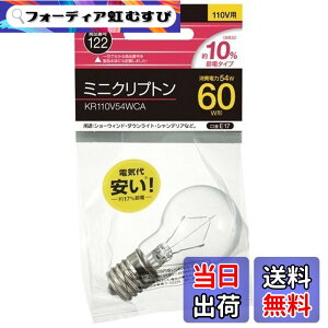 �y���������z���Ń��C�e�b�N �~�j�N���v�g���d�� 60W KR110V54WCA