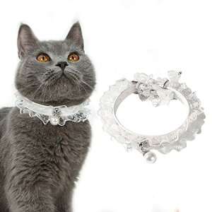 yzCoollooda L  lR L̎ [X zCg PUv  TCY߉\ y ybg 킢 iS,22-28cmj