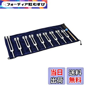 �y���������zDreld �`���N�� �����Z�b�g �\���t�F�b�W�I�����̃Z�b�g �V���o�[ �`���N������9�{1�V���R���n���}�[�t�� �i68.05 Hz,126.22 Hz, 136.1 Hz, 141.27 Hz, 172.06 Hz, 194.18 Hz, 210.42 Hz, 221.23Hz, 272.2H