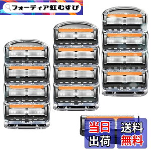 �y���������z�W���b�g �֐n �v���O���C�h �݊��n �t���[�W���� �E���ւ��n 5���n �����Y�p �Ђ�����n �����g�p�i�u���b�N 12�Z�b�g�j �F�F�u���b�N �I�����W�A�T�C�Y�F�u���b�N 12��