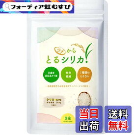 【送料無料】国産 コメからとるシリカ 植物性 超高濃度 非結晶 ケイ素 シリカ1560mg 食物繊維6900mg 7種のミネラル (亜鉛・マンガン・銅・ヨウ素・セレン・クロム・モリブデン) 農薬不使用