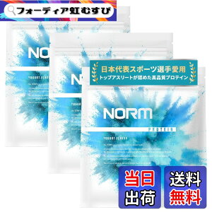 �y���������zNORM �m�[�� �z�G�C �v���e�C�� 1kg �������� 100���ȏ�̃g�b�v�A�X���[�g���p WPC WHEY PROTEIN �z�G�C�v���e�C�� �T�C�Y�F3kg