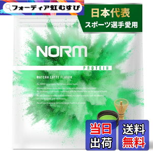 �y���������zNORM �m�[�� �z�G�C �v���e�C�� 1kg �������� 100���ȏ�̃g�b�v�A�X���[�g���p WPC WHEY PROTEIN �z�G�C�v���e�C�� �T�C�Y�F1kg