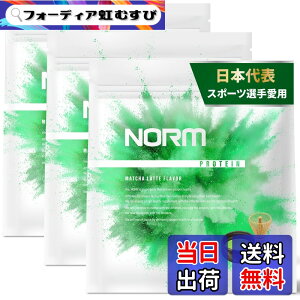 �y���������zNORM �m�[�� �z�G�C �v���e�C�� 1kg �������� 100���ȏ�̃g�b�v�A�X���[�g���p WPC WHEY PROTEIN �z�G�C�v���e�C�� �T�C�Y�F3kg
