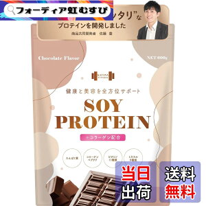 �y���������zKATANA ���S�h�{�H �\�C�v���e�C�� �l�H�Ö����s�g�p �`���R���[�g���� 600g �R���[�Q���z�� ���v����ς���21.6g/�H �R���[�Q���y�v�`�h3.1g/�H �r�^�~��11�� �~�l����9��