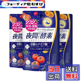 【送料無料】[医食同源ドットコム] iSDG 夜間酵素 ダイエットサプリ 232種 野菜と果物 マルチ酵素 発酵 乳酸菌 GABA クワンソウ アミノ酸配合 ダイエット 色：夜間酵素3個セット