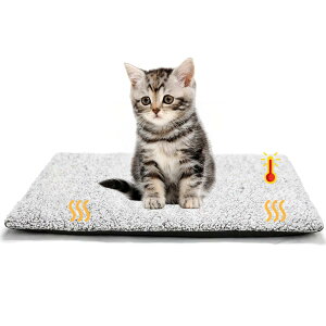 yzLittle Beanybgpzbg}bg dCsp ̉Œ~M ybgxbh L p xbh}bg _炩 g ybgNbV Iۉ H~ ΍ 􂦂  L ~