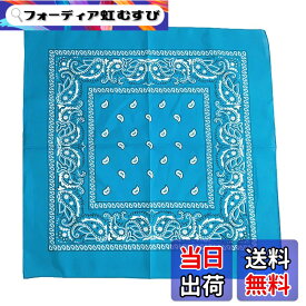 【送料無料】[Fosys] バンダナ 綿100% コットン カシューナッツ柄 55x55cm 正方形 大判 スカーフ ネッカチーフ 三角巾 メンズ レディース 色：4.スカイブルー、サイズ：55cmx5cm