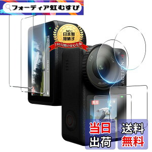 �y���������zTempered Glass Protector �F�F����A�T�C�Y�F�Ή� DJI Osmo Action 4