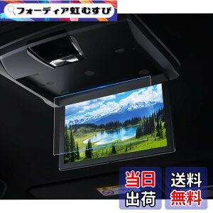 �y���������zruiya �t�B���� �f�B�X�v���C �t�B���� ����h�~ �\�t�ȒP �J�X�^�� �p�[�c �ی�t�B���� Hydro�R�E�C���X���H �J�X�^���p�[�c �J�X�^�� �T�C�Y�F10.1�C���` �A���p�C�� RSH10XS-L-B/RSH