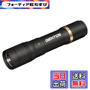 �y���������zGENTOS(�W�F���g�X) �����d�� LED���C�g �[�d�� 200~900���[���� ���N�V�[�h RX-285R/RX-286R/RX-304R/RX-386R/RX-486PB �F�F�u���b�N�A�T�C�Y�F���a30.1x135.7mm