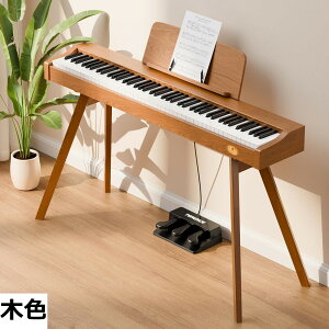 �y���������zTERENCE �d�q�s�A�m 88���� �n���}�[�A�N�V�������� �t�����X��DREAM���� �ؐ�