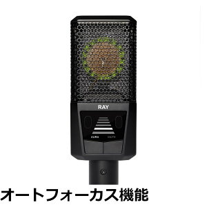 �y���������zLEWITT LCT 440 �V���[�Y