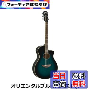 �y���������z���}�n �G���A�R�M�^�[ APX600