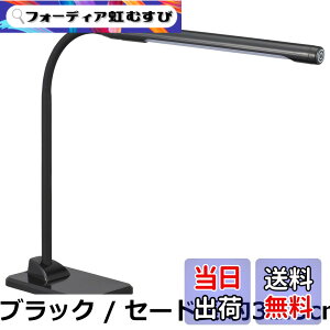 �y���������z�f�X�N���C�g DS-L*42 LAMP