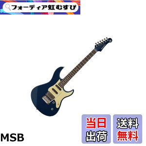 �y���������z���}�n YAMAHA �G���L�M�^�[ PACIFICA612VIIX