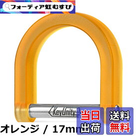 【送料無料】[KeyUnity] Dカン ネジ式 17mm/23mm KA17 dリング チタン 小型 軽量 錆びない キーリング d型 鍵 紛失防止 キーホルダー 金具 ハンドメイド 手芸 アクセサリーパーツ
