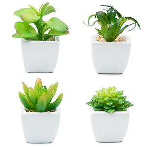 yzTOSSOW lHA ~j lHϗtA  ͂Ȃ CeA 4_Zbg ` v[g