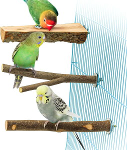 yzYINKE ~܂ ~܂ ܂𖁂񂲂̖ R ܂ p[` CR IE  IE  ₷݃{[h ނ P[WX^h P[WANZT[  Xg