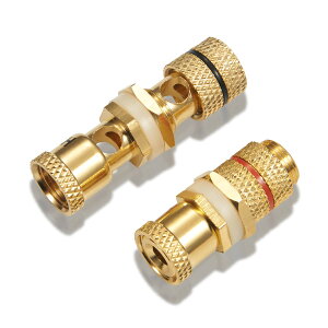 yzyoiivOp XXzby yWYVERN AUDIOz oiivO/pI v≏ X̃X WV-CHU-K 11 (21g)