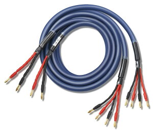 yzyoCC[z WYVERN AUDIO ɑ x 12c oiivOt i HIFI oCCOڑ oCC[ Xs[J[P[u 2{1g LRZbg yWVA-04BW12z iu[j 2.