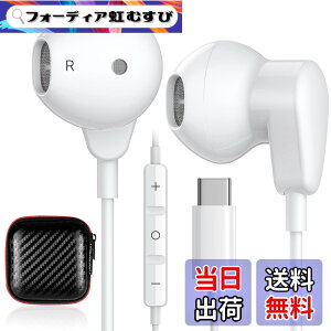 �y���������z�^�C�v c �C���z�� typec �C���z�� �}�C�N�t�� �L�� iPad air 4/5 iPad ��10���� ipad Mini 6/galaxy A54/A34/S23 S22 ultra z fold 5/Google Pixel 7 6a/Xiaomi 11T Pro/OPPO/Xperia/PC�Ή� �e�����[�N �m�C�Y�L�����Z