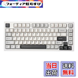 �y���������zYUNZII YZ75 75% �z�b�g�X���b�v�Ή����C�����X�Q�[�~���O�L�[�{�[�h RGB�o�b�N���C�g BT5.0/2.4G/USB-C�ADye Sub PBT�L�[�L���b�v Linux/Win/Mac�p �Z�K�F�؎擾�iGateron G Pro ����,�z���C�g)
