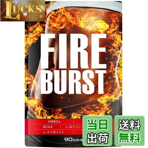 �y���������z�yFIRE BURST�z L-�J���j�`�� BCAA�z�� �T�v�� ���I�f�� 90����