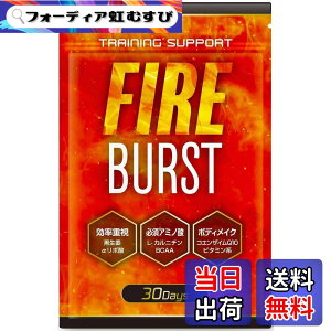 �y���������z�yFIRE BURST�z L-�J���j�`�� BCAA �T�v�� �^�u���b�g ���I�f�� 30����