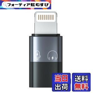 �y���������zQISI ���C�g�j���O �I�X �^�C�vC ���X �ϊ��A�_�v�^ 1�� OTG�@�\ �[�d��p USB 3.0 OTG�R���o�[�^�[ (Lightning�I�XType-C���X)