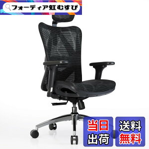 �y���������zSIHOO M57 ���b�V���`�F�A �I�t�B�X�`�F�A �l�ԍH�w �֎q ���Ȃ� �f�X�N�`�F�A�uS�����̔w������ 3D�A�[�����X�g ���������o�[�T�|�[�g 126°���N���C�j���O 2D�w�b�h���X�g�vpc