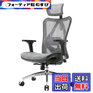 �y���������zSIHOO M57 ���b�V�� �I�t�B�X�`�F�A �֎q �l�ԍH�w ���Ȃ� �f�X�N�`�F�A�uS�����̔w������ 3D�A�[�����X�g ���������o�[�T�|�[�g 126°���N���C�j���O 2D�w�b�h���X�g�vpc �p�\